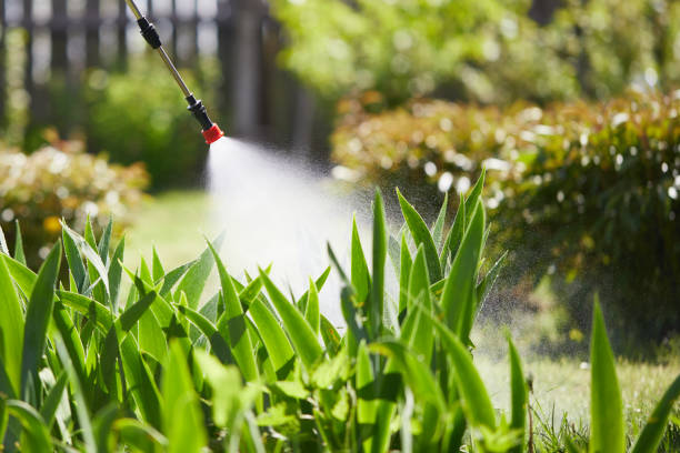 24/7 Emergency Mosquito Control experts in Sea Cliff, NY